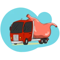 DeanVaughn Medical Terminology